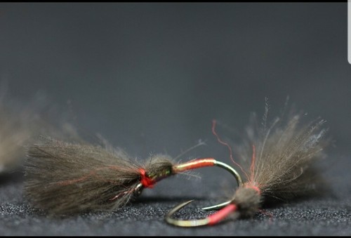 Cdc pin fry modello - modello, 10