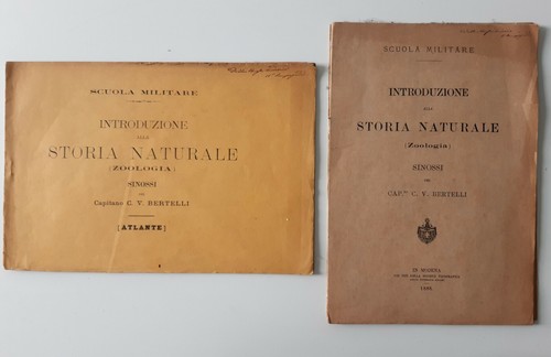 Cap bertelli scuola militare - bertelli,