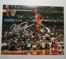 Chicago Bulls 11x14 Michael