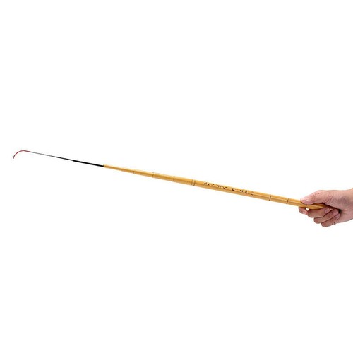 Canna pesca telescopica in - da,