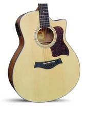 Chitarra acustica amplificata - acustica,