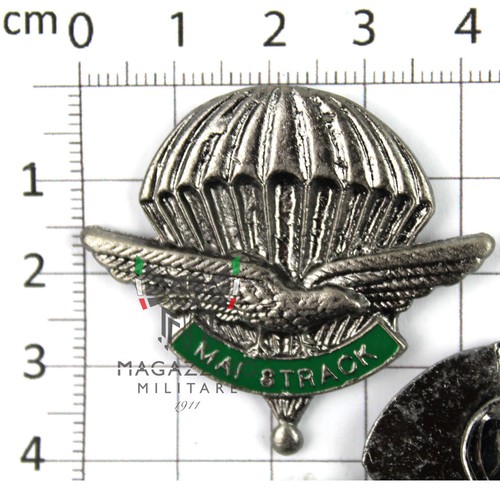 Spilla metallo distintivo - distintivo, 4°
