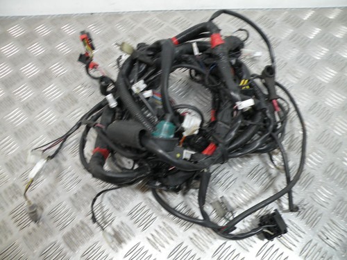 Fascio elettrico vespa - fascio, gts