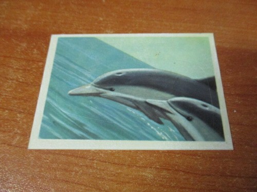 Figurina natura amica mare - figurina, il