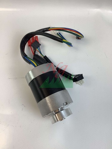 Motore ruota brushless