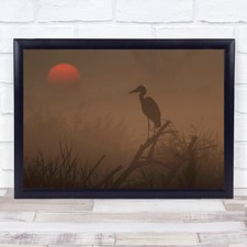 Silhouette Stork Sun Graphic