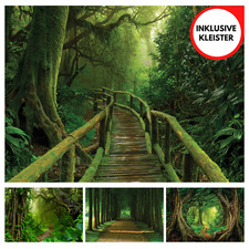 FORESTA VIA ALBERI NATURALI