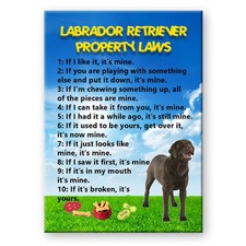 CHOCOLATE LABRADOR Property