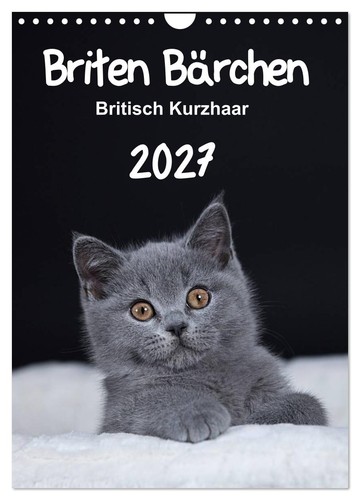 Briten bärchen britisch - bärchen,