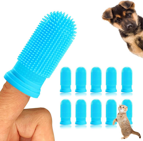 10pcs spazzolino per - 10pcs, cani