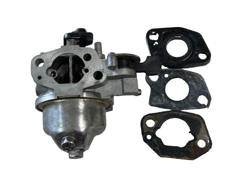 Gruppo carburatore rasaerba