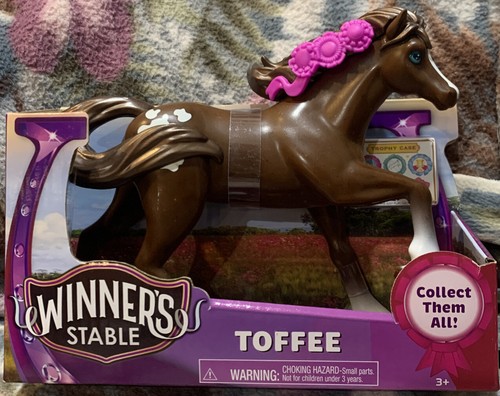 Winners stable horse toffee - winners,