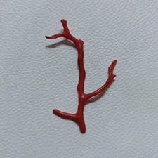 Ramo di corallo rosso corallo