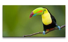 120x60cm leinwandbild vogel - leinwandbild,