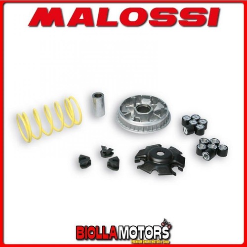 5113134 variatore malossi - variatore,