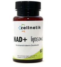 Netica cellulare NAD+