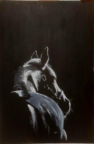 Dipinto cavallo - dipinto,