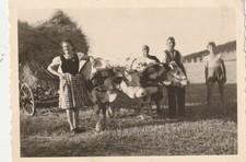 B2 - Foto Photo Fotografia