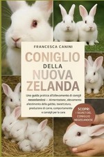 Coniglio Della Nuova Zelanda
