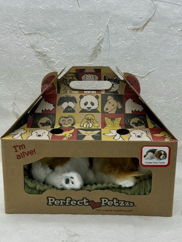 Perfetto petzzz cavalier king - petzzz,