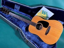 Martin D-18 con custodia