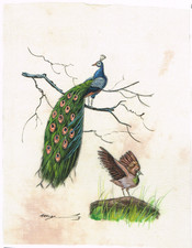 Fatto a Mano Miniatura Dipinto Di Pavone And Another Uccello Su Seta 17.8x22.9cm