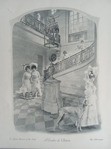 Antica zincografia belle - antica,