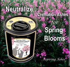 Bidone Neutralizzazione