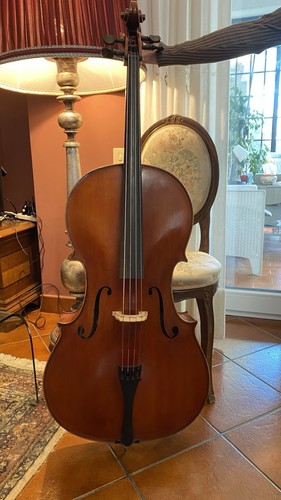 Violoncello 4 - violoncello, 4/4