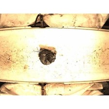 ALTERNATORE PER VOLKSWAGEN CADDY (96-04) 1.9 SDI FUR. 2P/D/1896CC. 1996