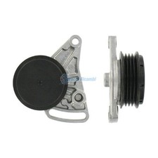 TENDICINGHIA CINGHIA ESTERNA