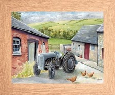 FERGUSON TE20 WEE GREY MARE