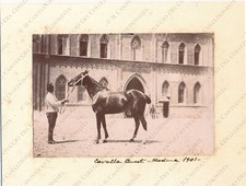 1901 MODENA School Cavalry