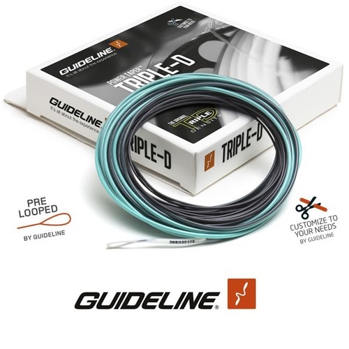 Guideline testina tiro - ®, di