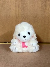 Peluche cane, barboncino
