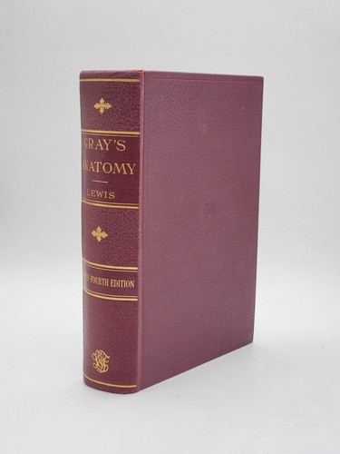 Gray anatomy lewis - gray's,