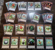 Mazzo Yugioh Naturia Nucleo di
