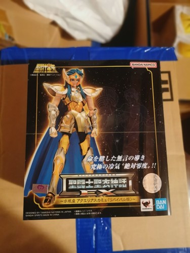 Saint seiya camus - seiya, aquarius