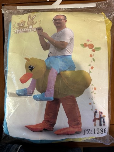 Costume anatra gialla - anatra,