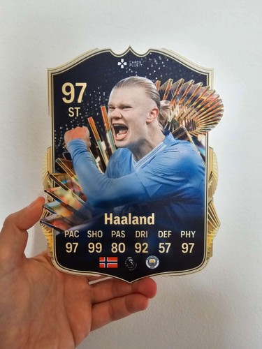 Carta erling haaland - tots, fut
