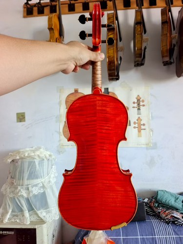Nuovo violino master - nuovo,