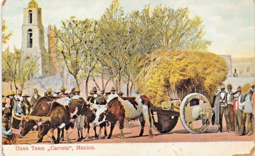 Mexico loaded toro - mexico-loaded,