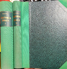 Falcone,Cesare. - Trattato di