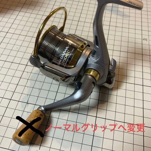 Mulinello spinning daiwa - spinning,