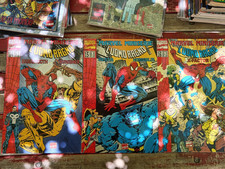 l'uomo Ragno lotto 3  volumi