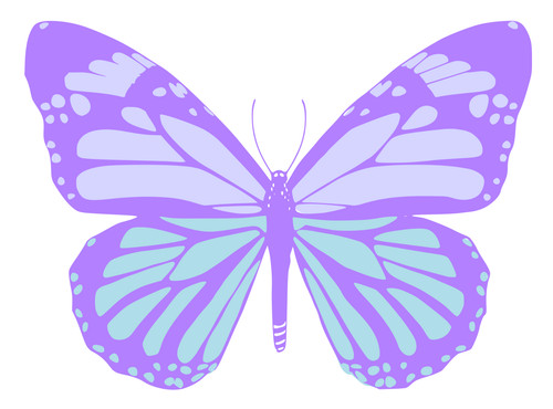 Adesivi auto sticker - 5,