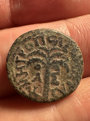 Antico seleucido greco - seleucido, romano
