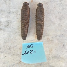 COPPIA DI PIGNE PER OROLOGIO A