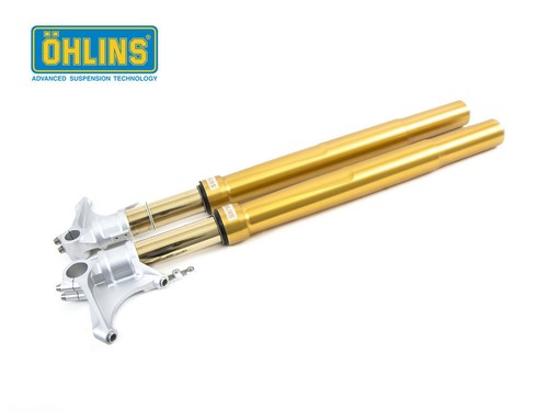 Forcella ohlins road track - forcella,