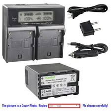 Kastar Battery LCD Dual Fast